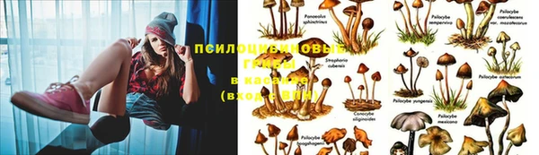 круглые Майский