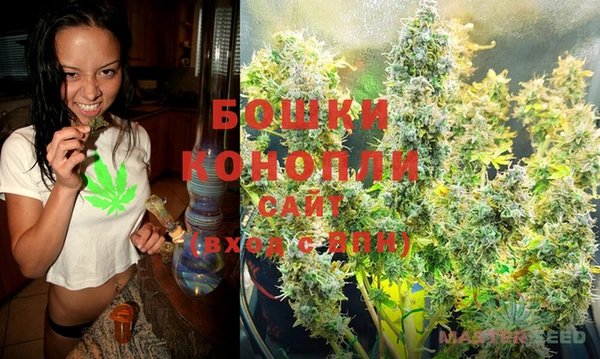 стаф Магадан