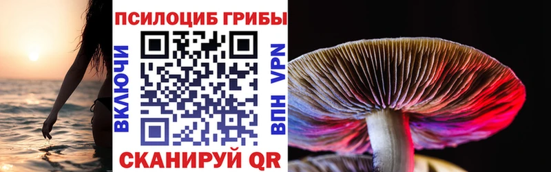 blacksprut зеркало  Тутаев  Псилоцибиновые грибы Psilocybe 