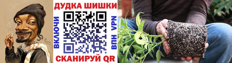 Бошки Шишки марихуана  хочу наркоту  Тутаев 